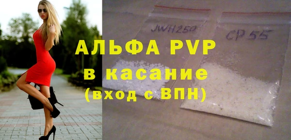 индика Волоколамск