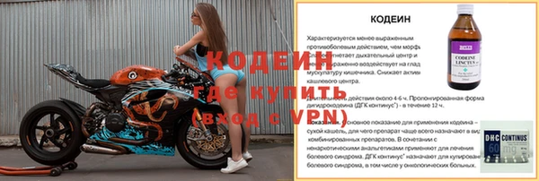 индика Волоколамск
