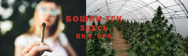 молекула духа Володарск
