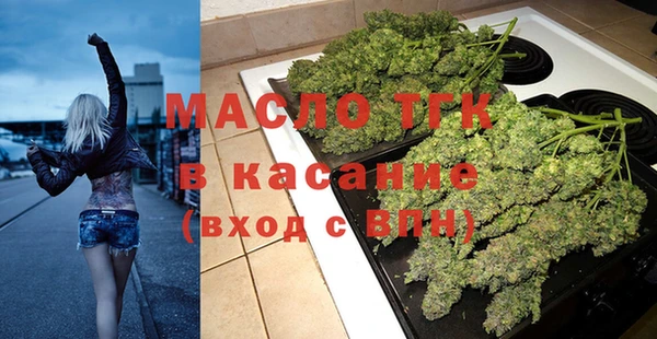 индика Волоколамск