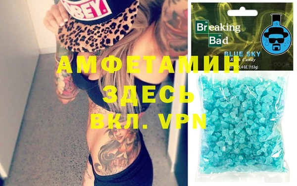 индика Волоколамск