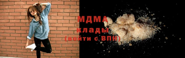 индика Волоколамск