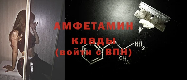 индика Волоколамск