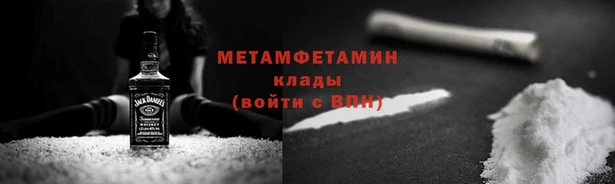 индика Волоколамск