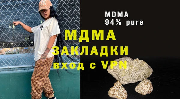 индика Волоколамск