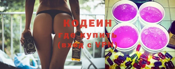 индика Волоколамск