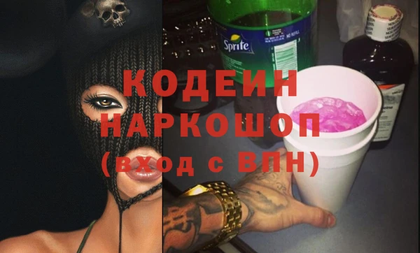 индика Волоколамск