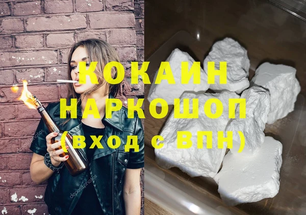 индика Волоколамск