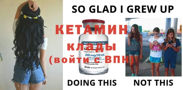 индика Волоколамск